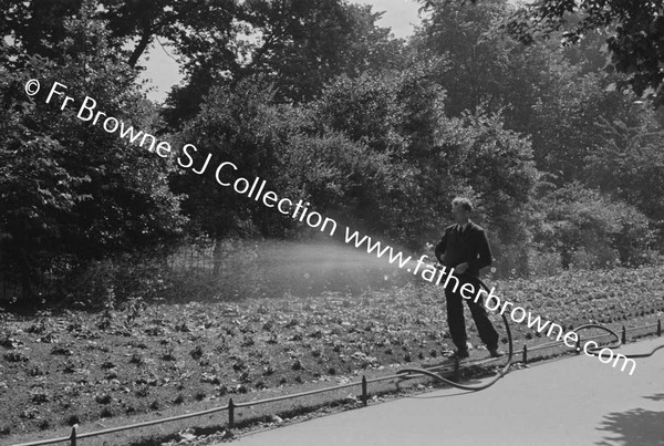 ST STEPHEN'S GREEN WATERING FLOWERS